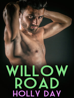 cover image of Willow Road